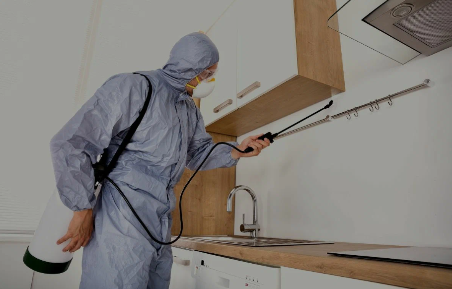 Lawndale pest managment